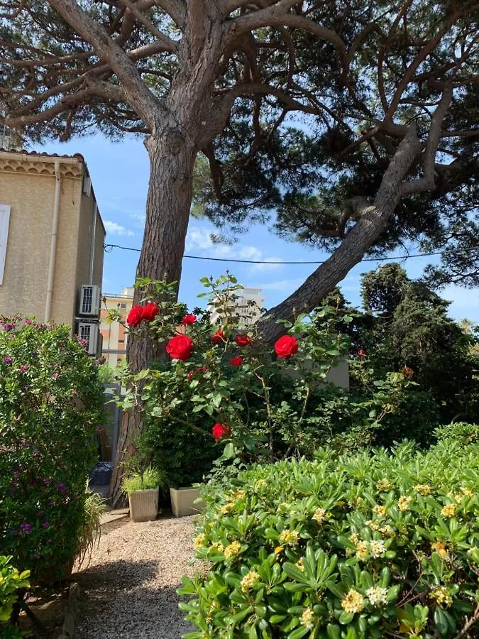 Hotel Beau Rivage Le Lavandou 3*,  Francia