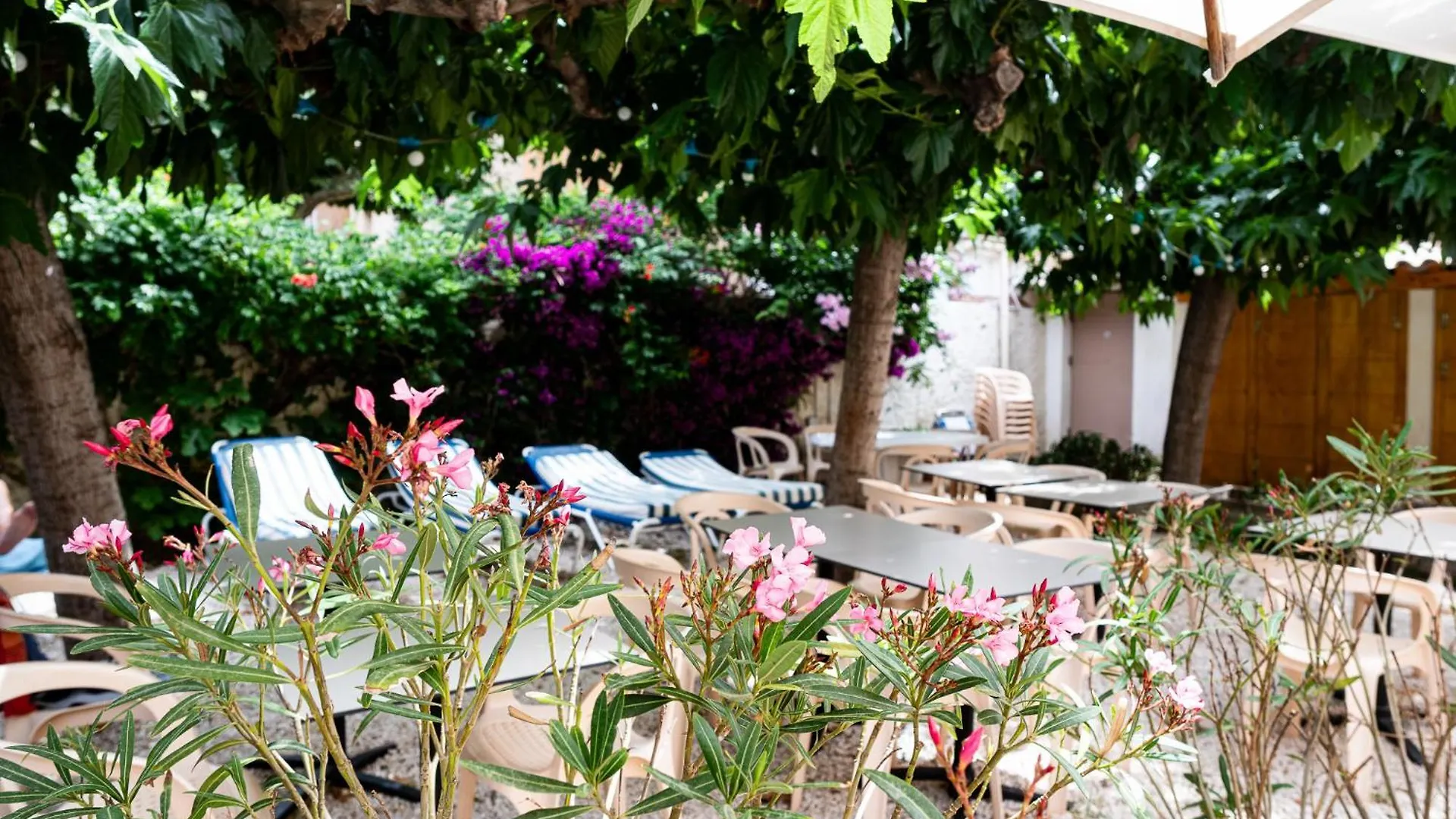 Hotel Hôtel Beau Rivage Le Lavandou